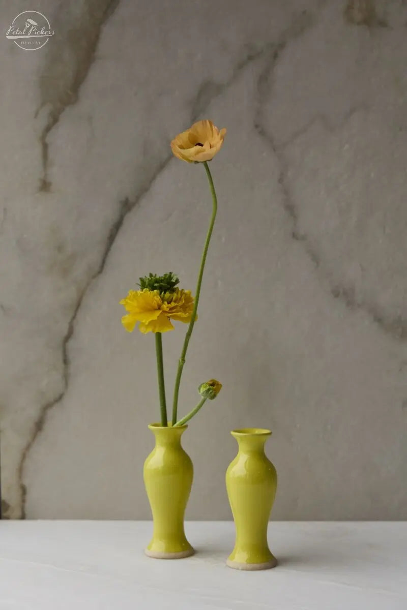 Chasing Rainbows Budvase 2"x 5 Accent Decor