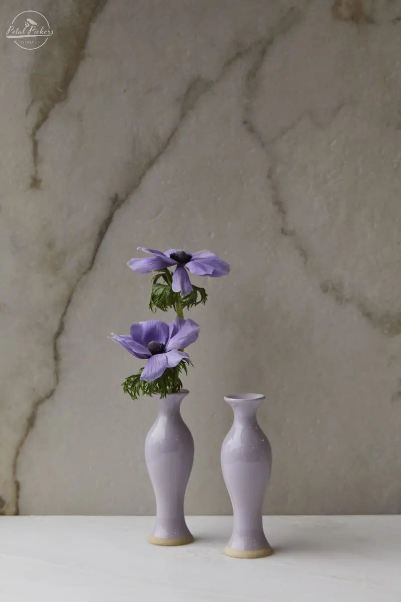 Chasing Rainbows Budvase 2"x 6 Accent Decor