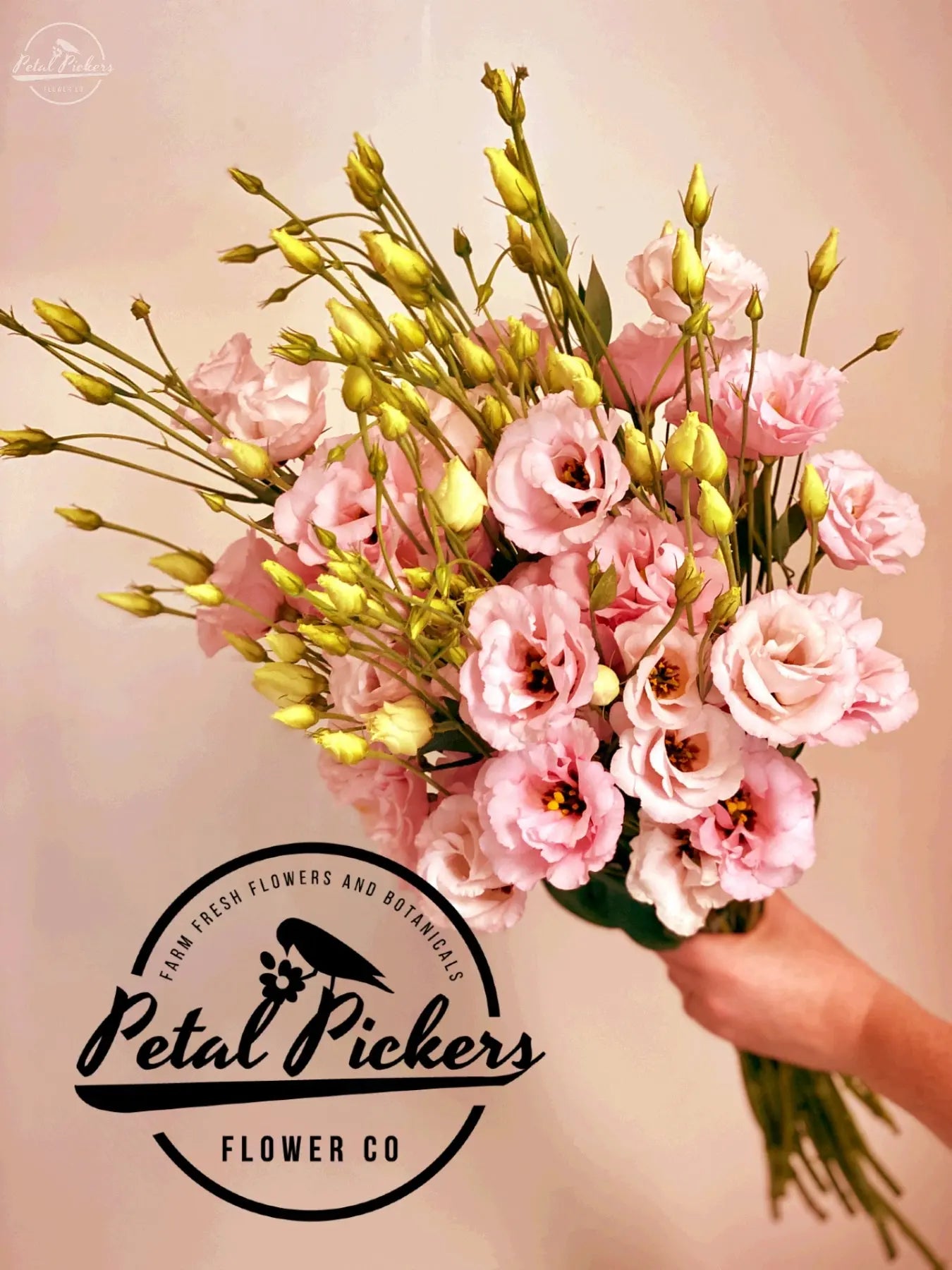 Farm Fresh Flower Subscription (billed Weekly, Bi-Weekly, or Monthly) PetalPickers