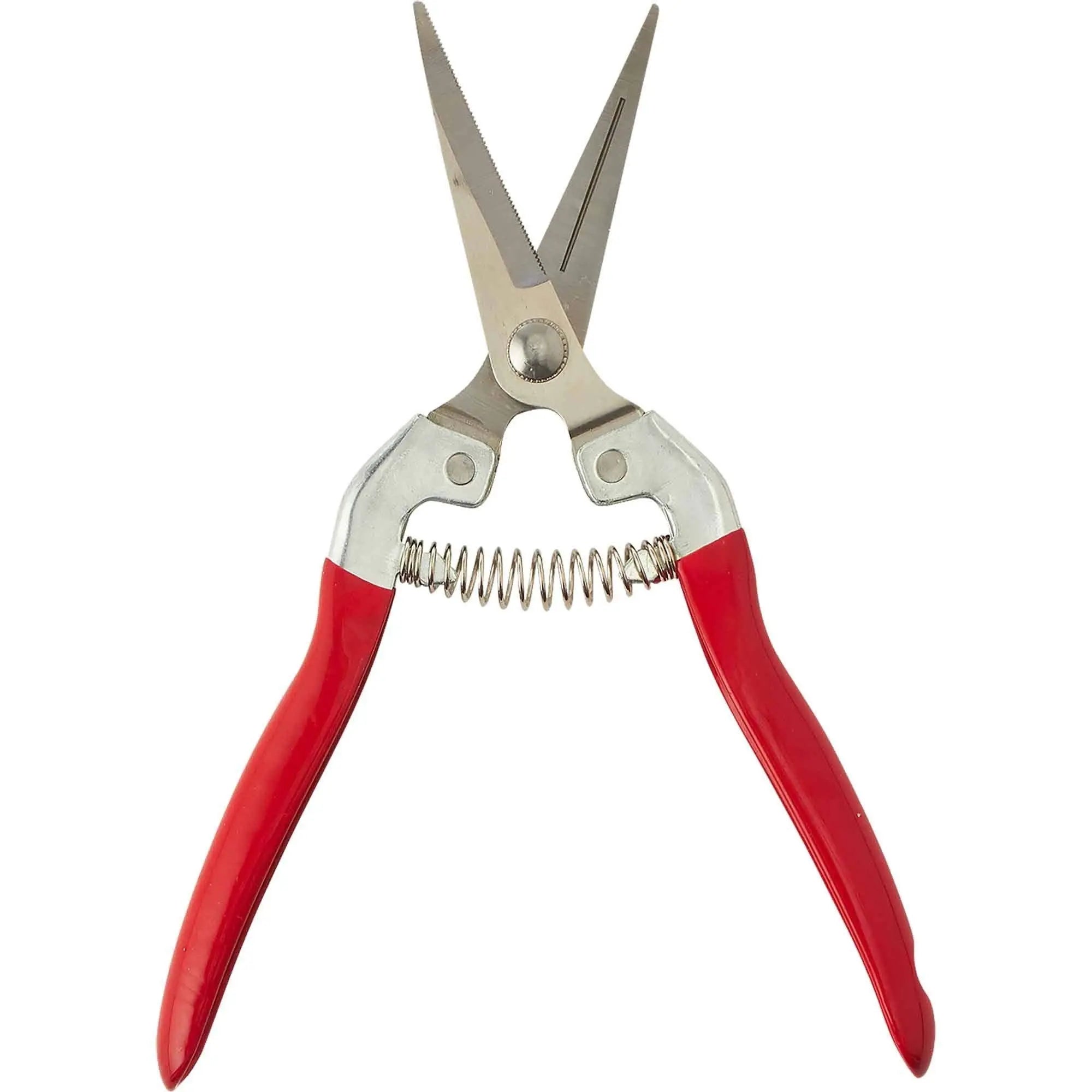 Floral Scissors Portofino International Trading, USA