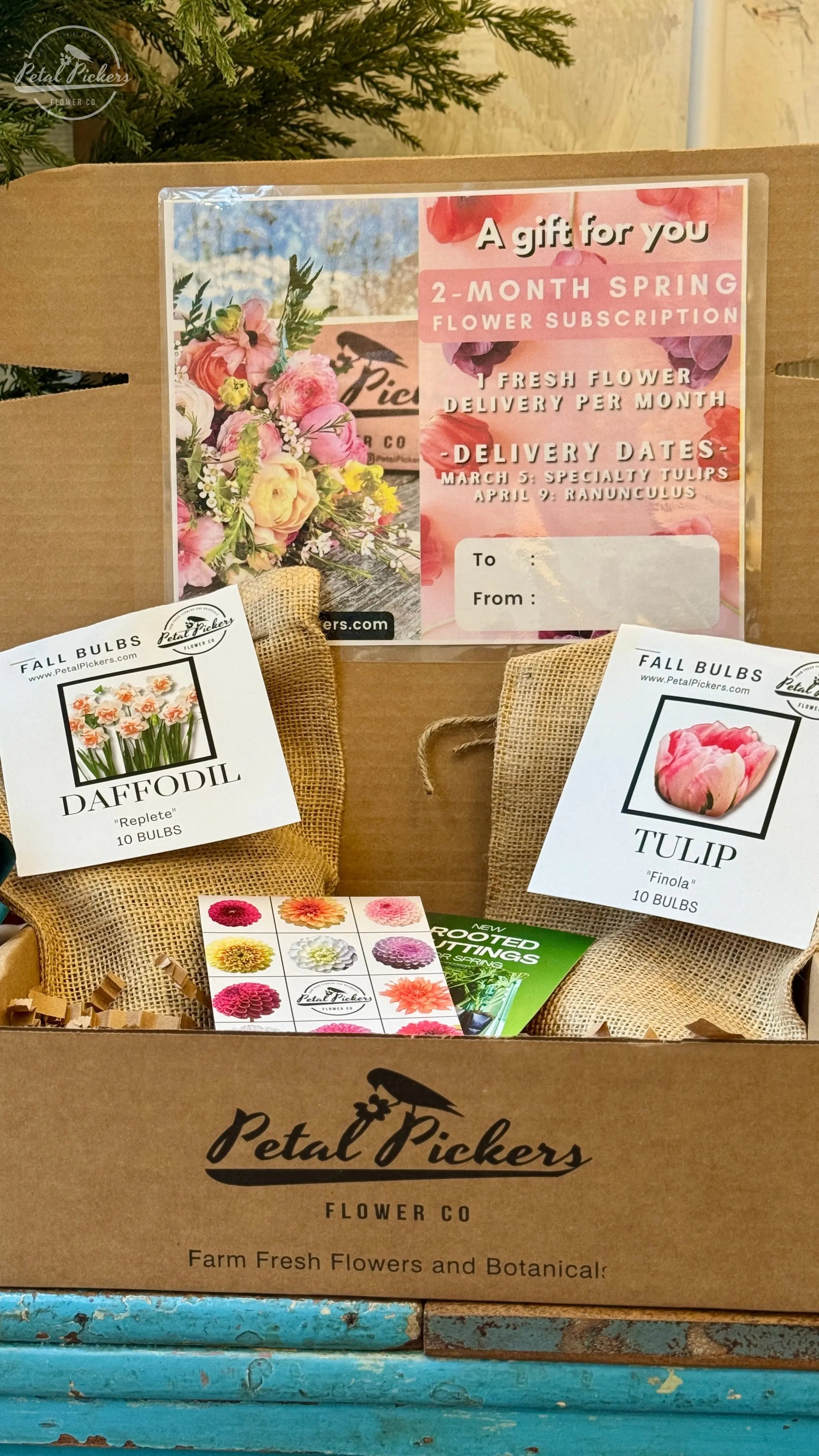 Gift Bundle with Bulbs & Blooms PetalPickers RETAIL