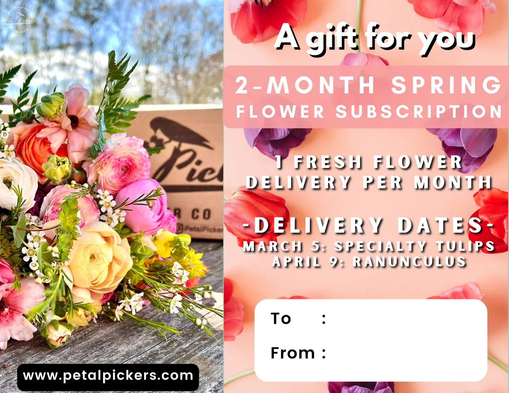 Gift Bundle with Bulbs & Blooms PetalPickers RETAIL