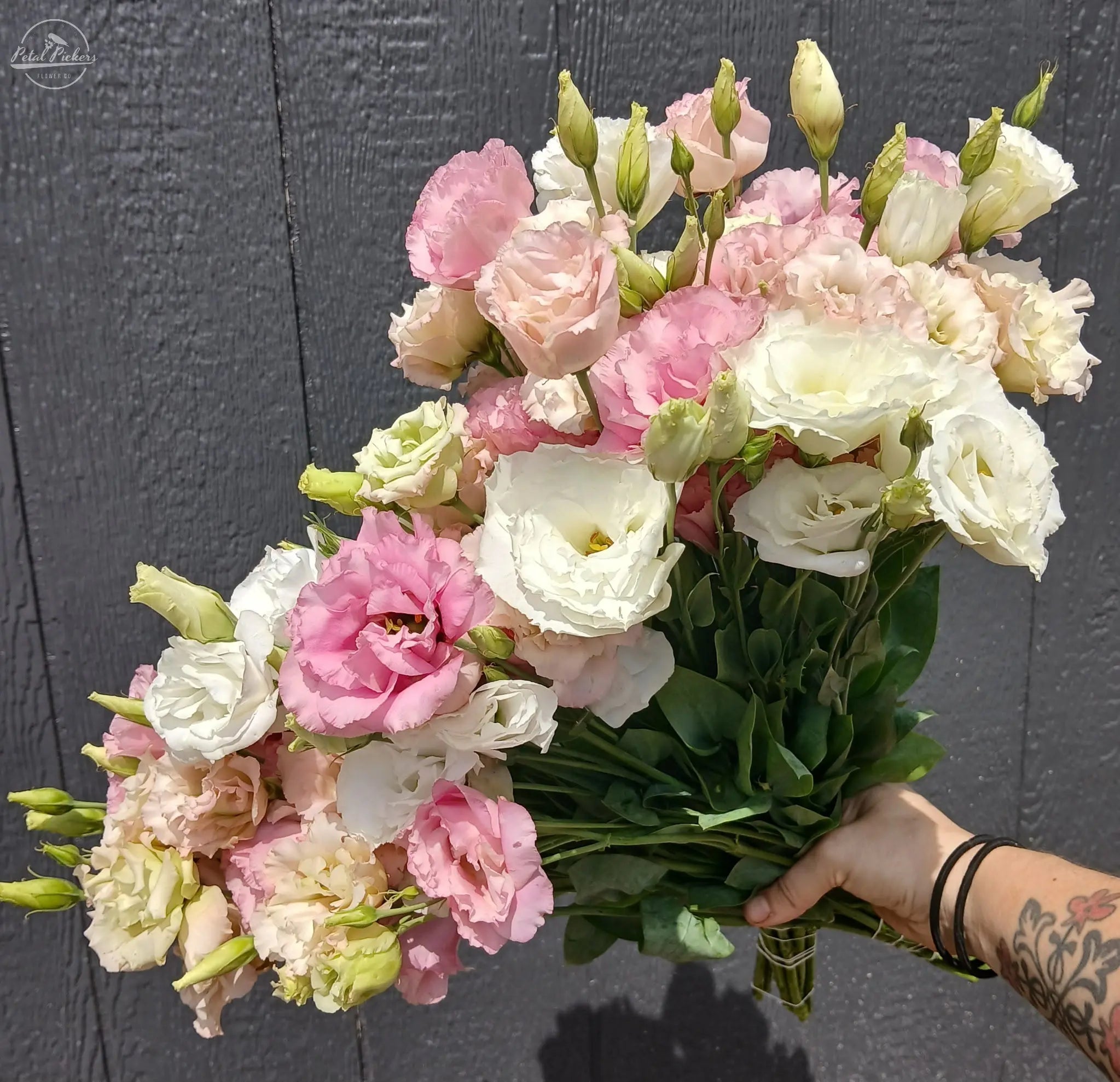 Lisianthus- Farm Fresh Mix PetalPickers RETAIL