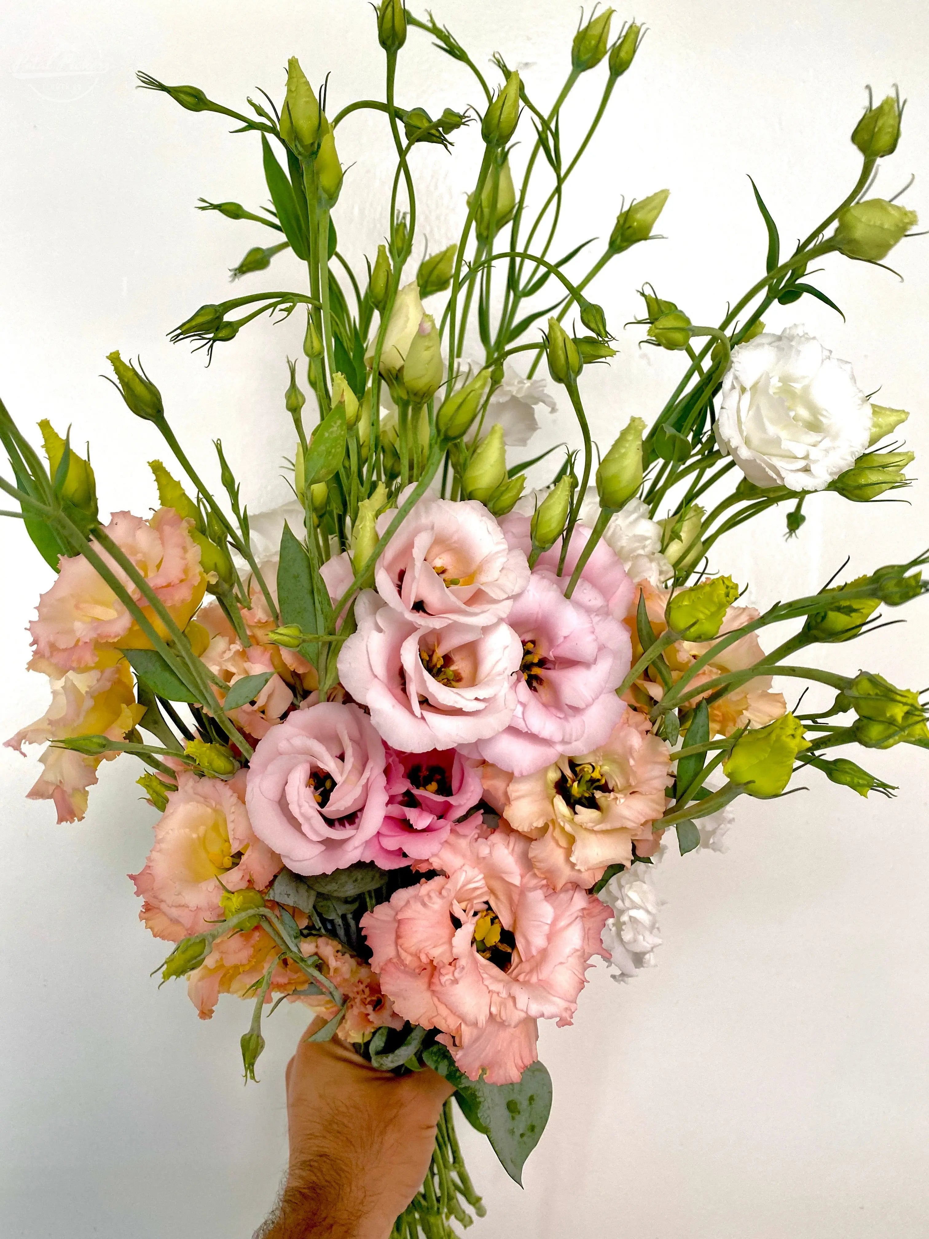 Lisianthus- Farm Fresh Mix PetalPickers RETAIL