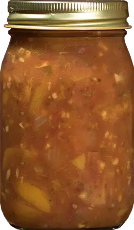 Peach (Medium) Salsa 16oz Gourmet Recipe Experts, Inc.