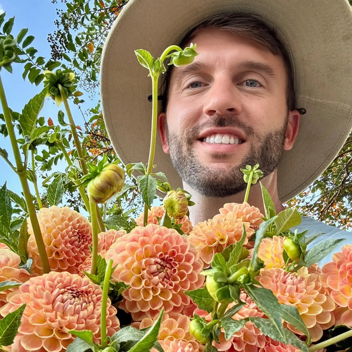 Dahlia 'Bloomquist York' - ROOTED CUTTING – Fuirk Home