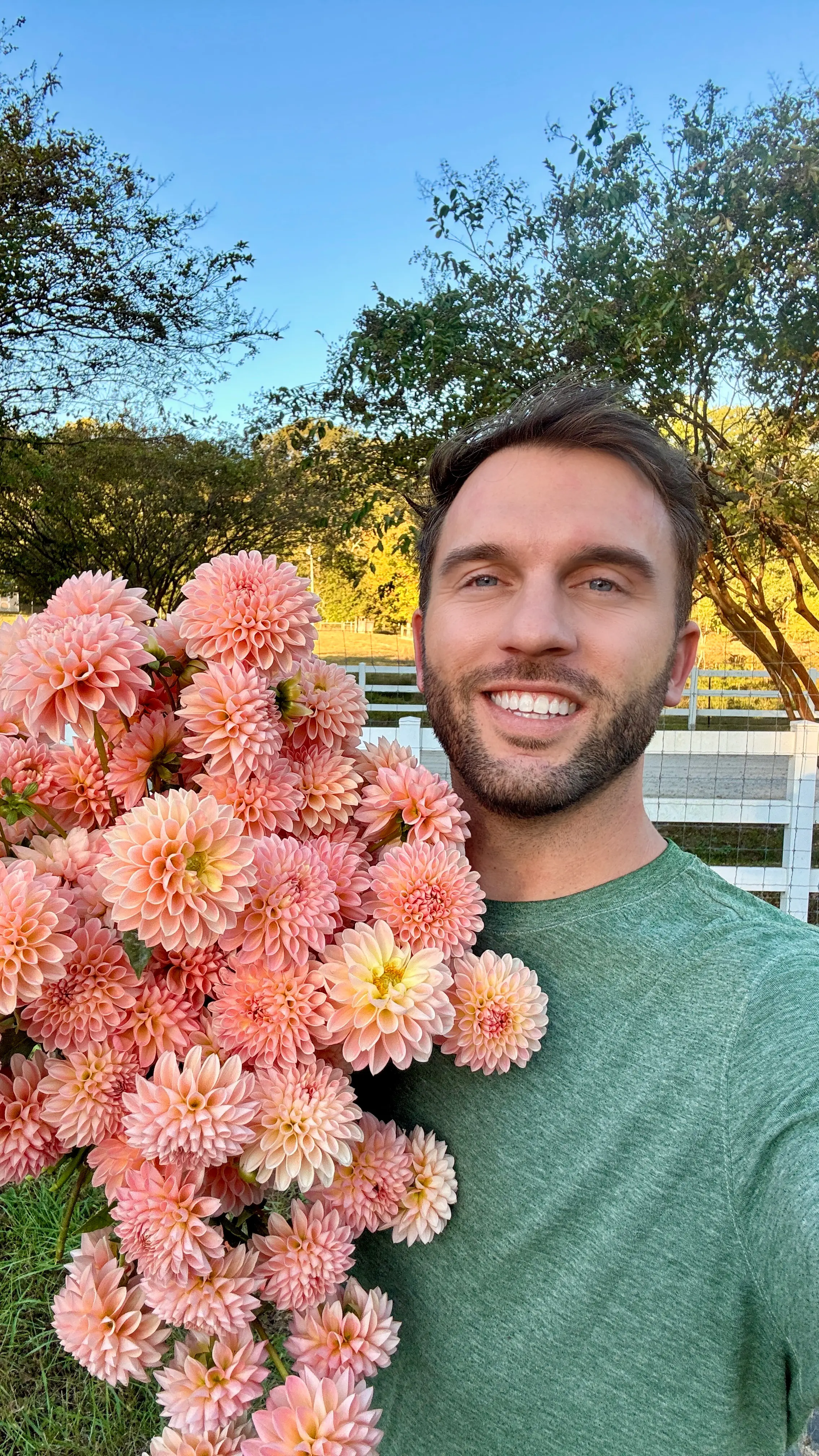 Rooted Cutting (5-pk) Dahlia-Barbarry Dominion PetalPickers