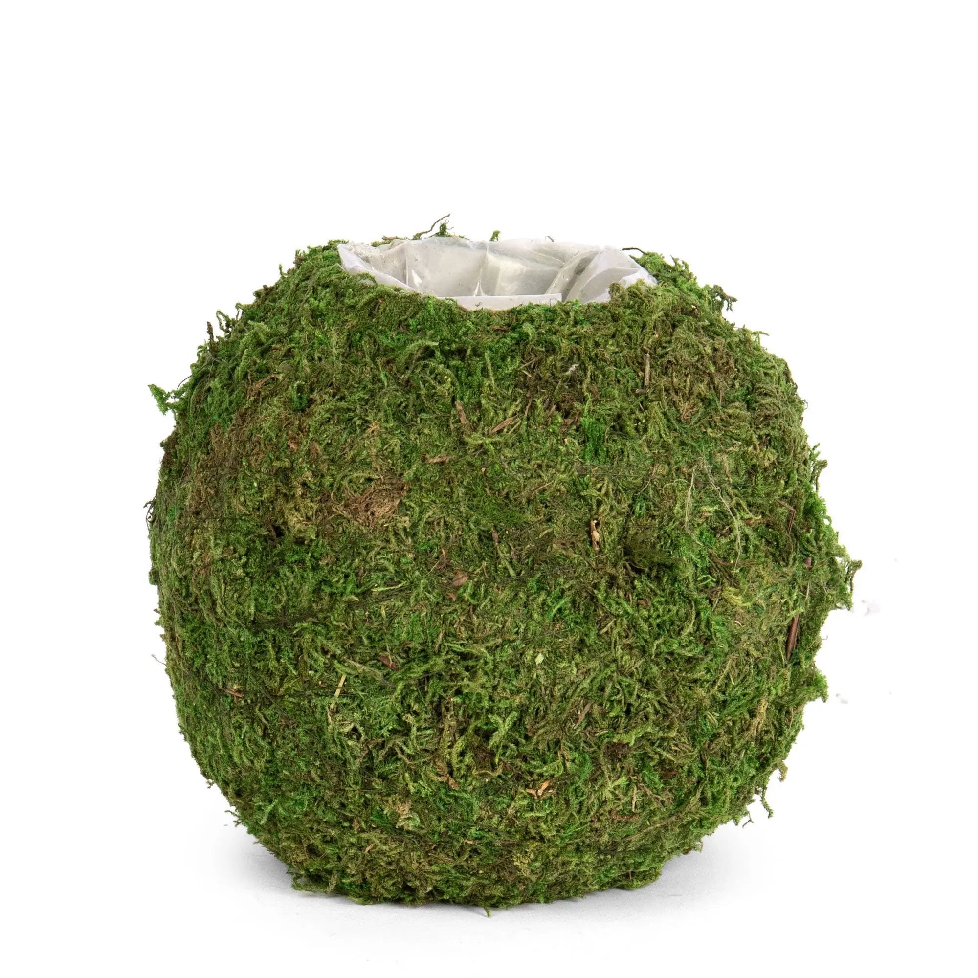 Round Moss Planter w/ Sewn Liner 6.5" Willow Group