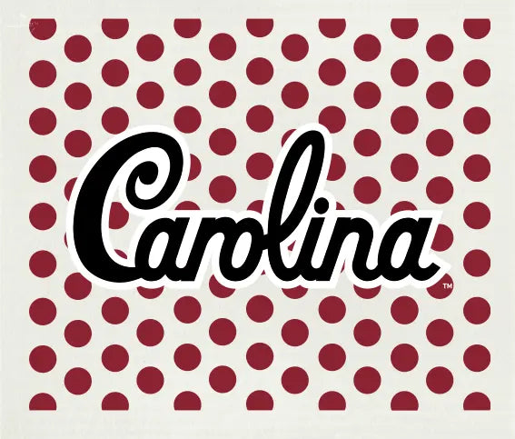 University of South Carolina 2 Swedish Cloth Wet-it!