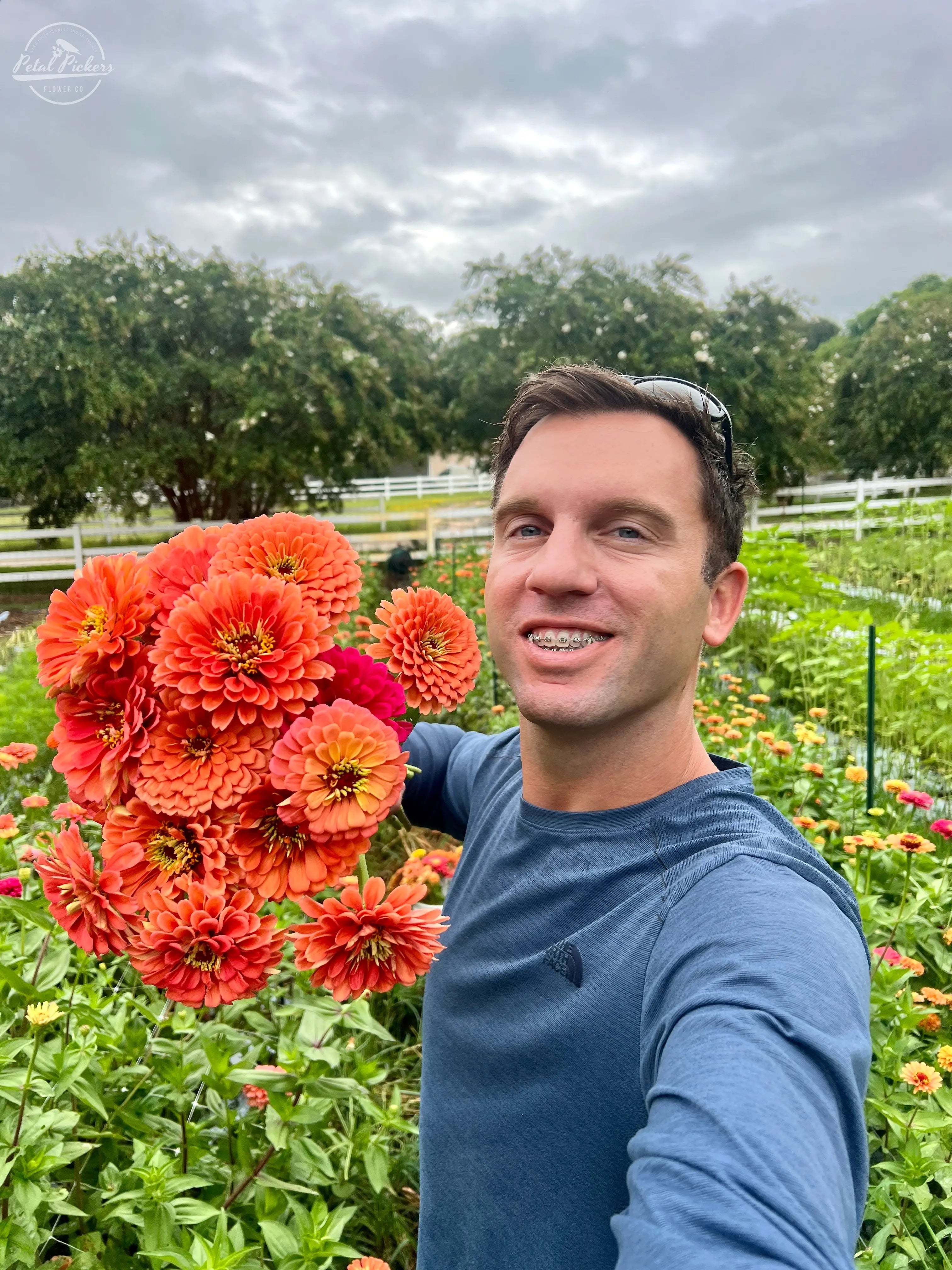 Zinnia- Benary's Giant Salmon Rose PetalPickers RETAIL
