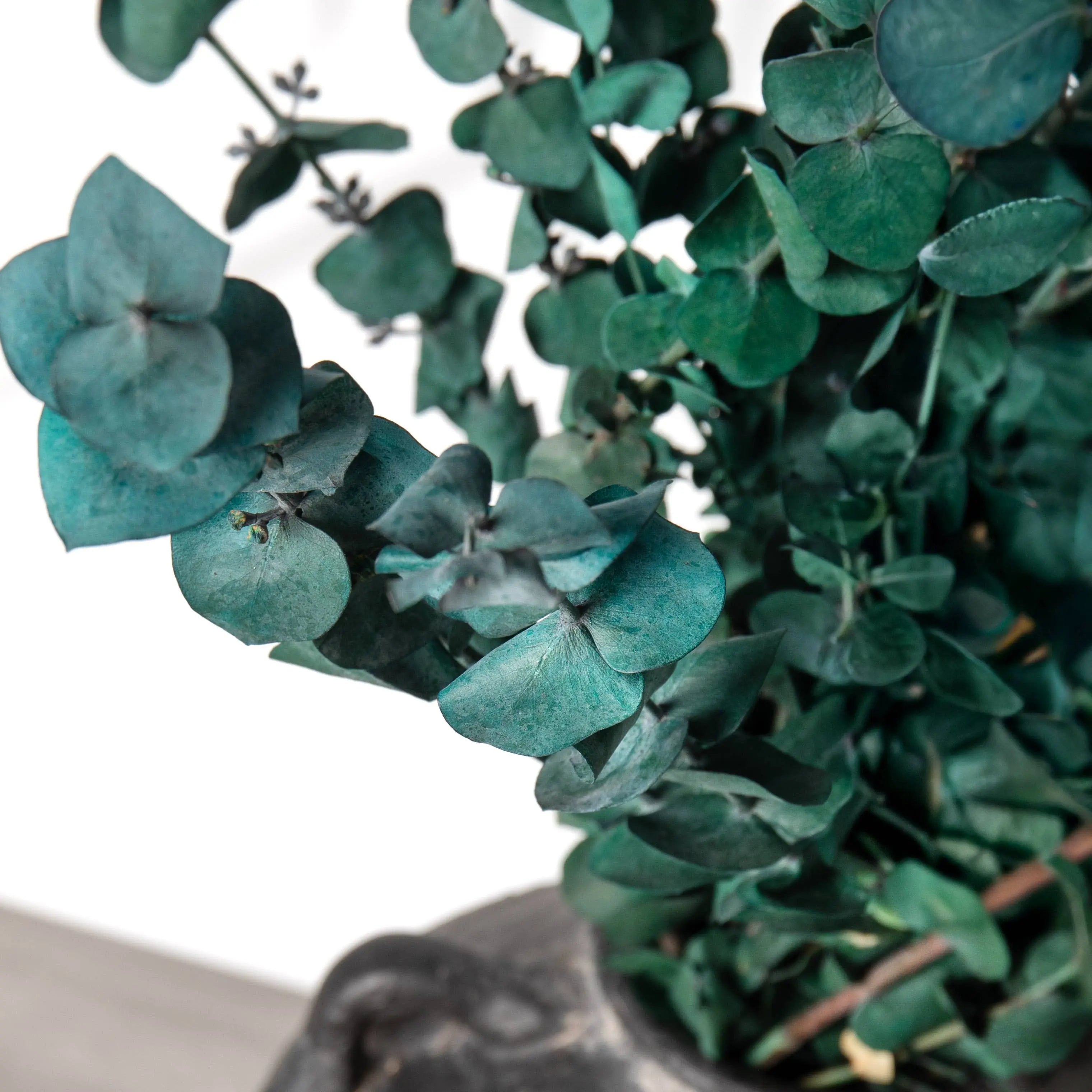 Eucalyptus Satin Green Willow Group