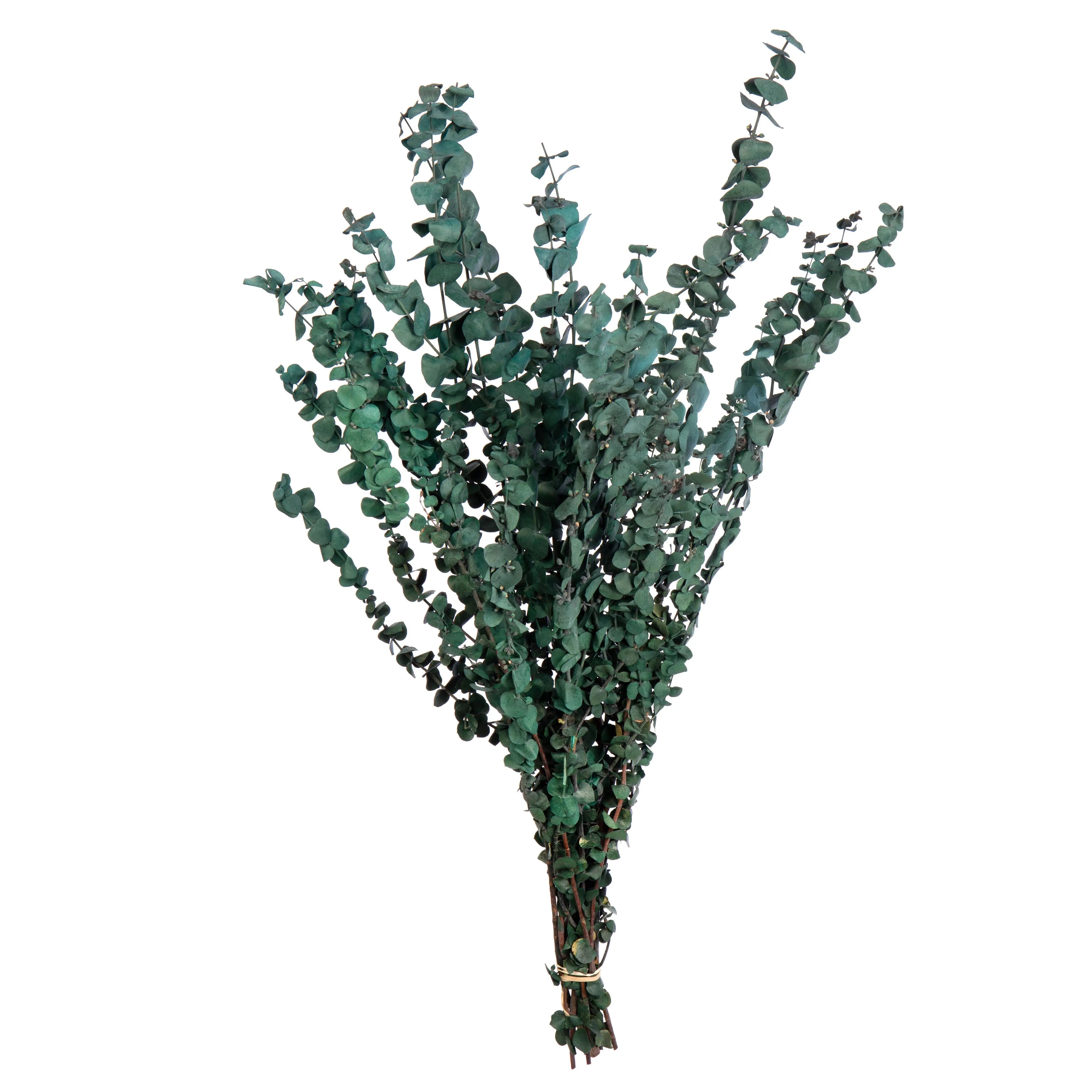 Eucalyptus Satin Green Willow Group