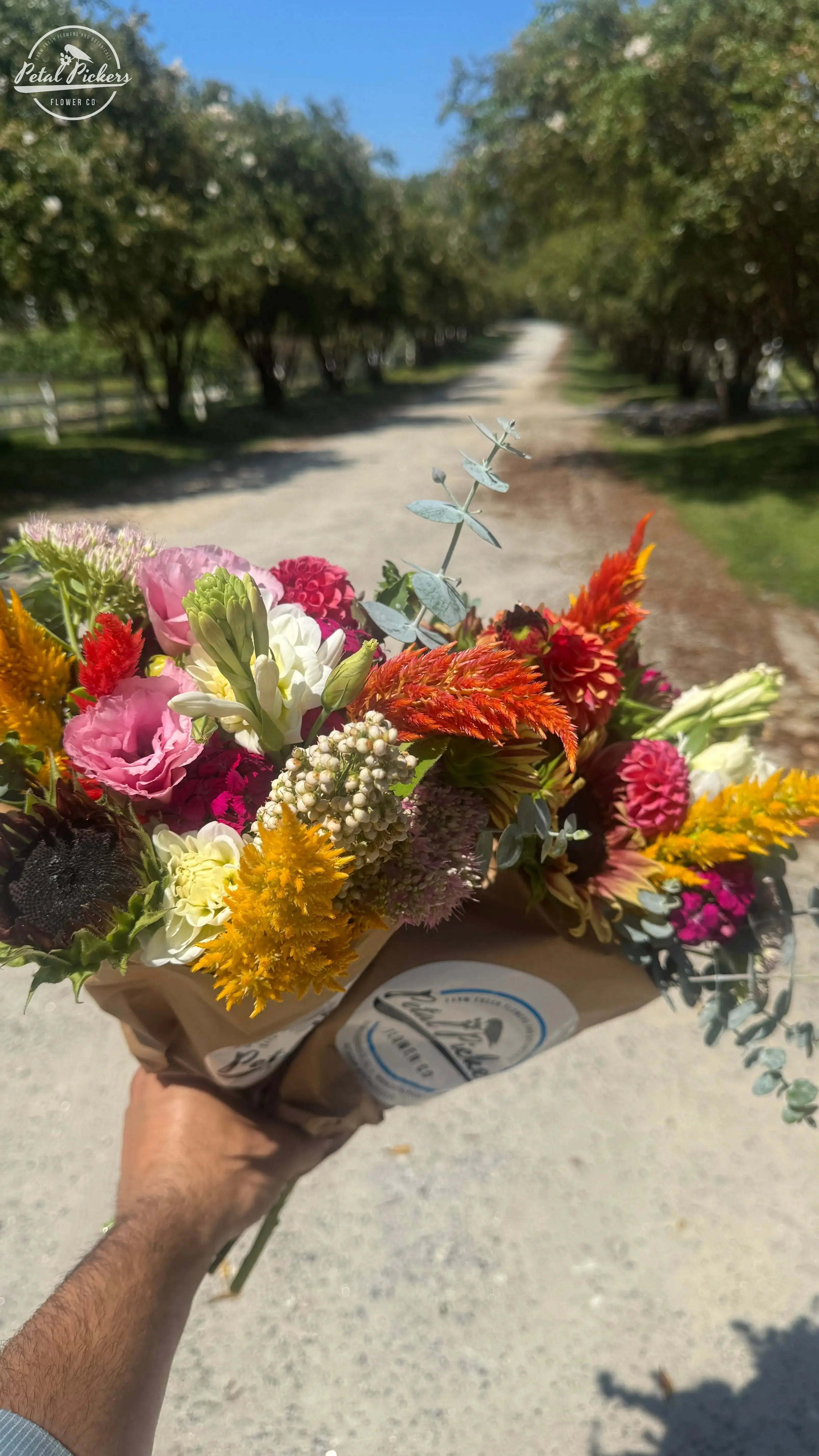 Fall Delight Bouquet PetalPickers RETAIL
