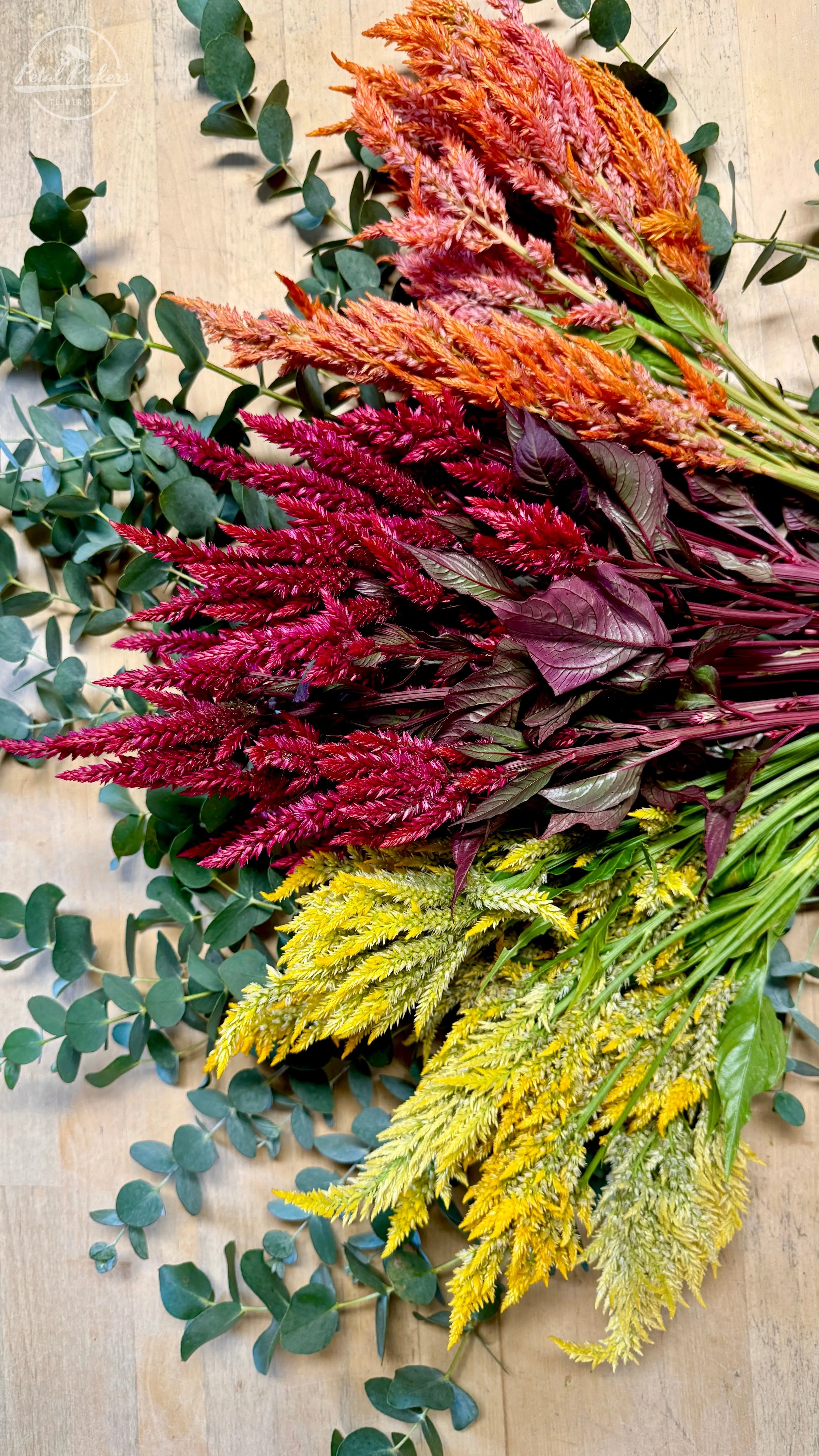 Fall Celosia Bouquet PetalPickers RETAIL