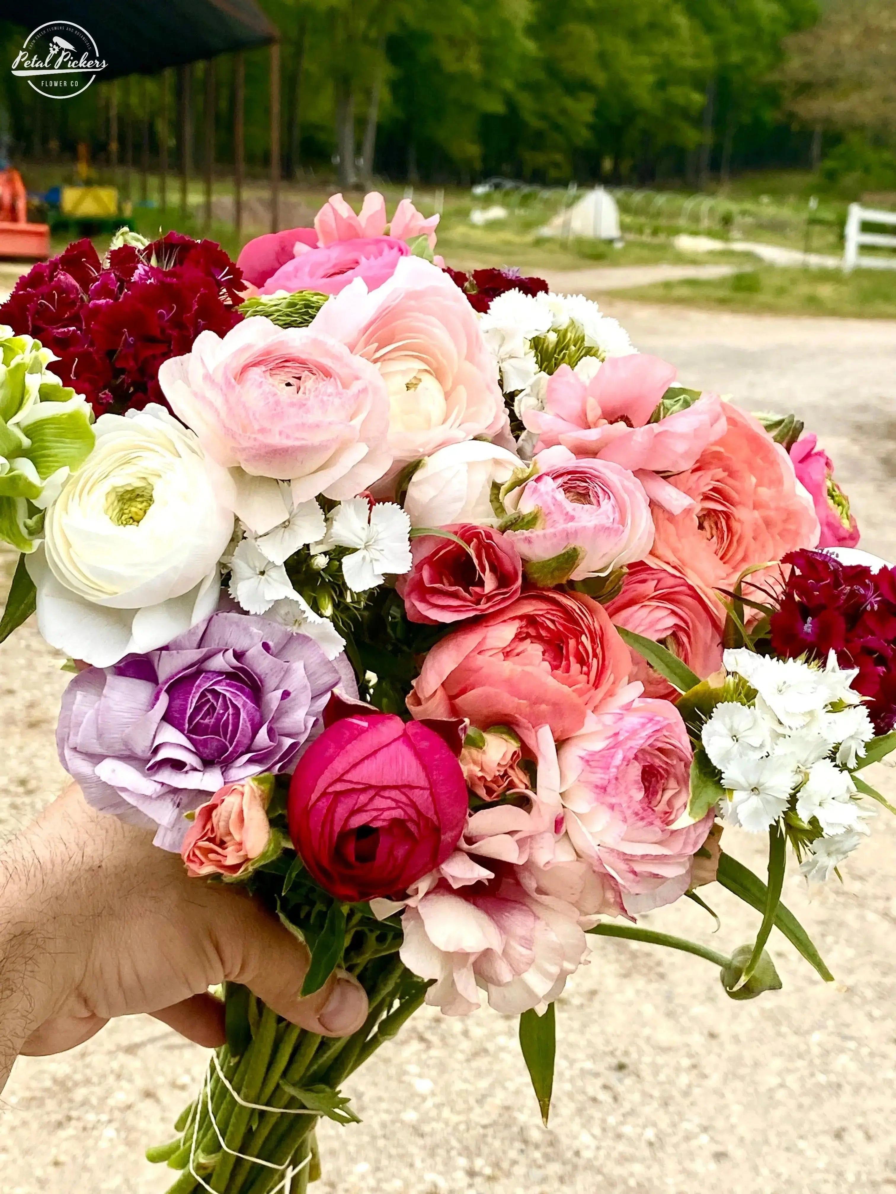 Gift Fresh Flowers 3-Month Spring 2025 Subscription PetalPickers RETAIL
