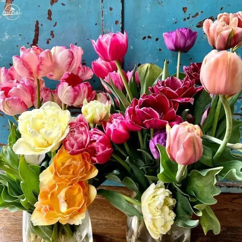 Gift Fresh Flowers 3-Month Spring 2025 Subscription PetalPickers RETAIL