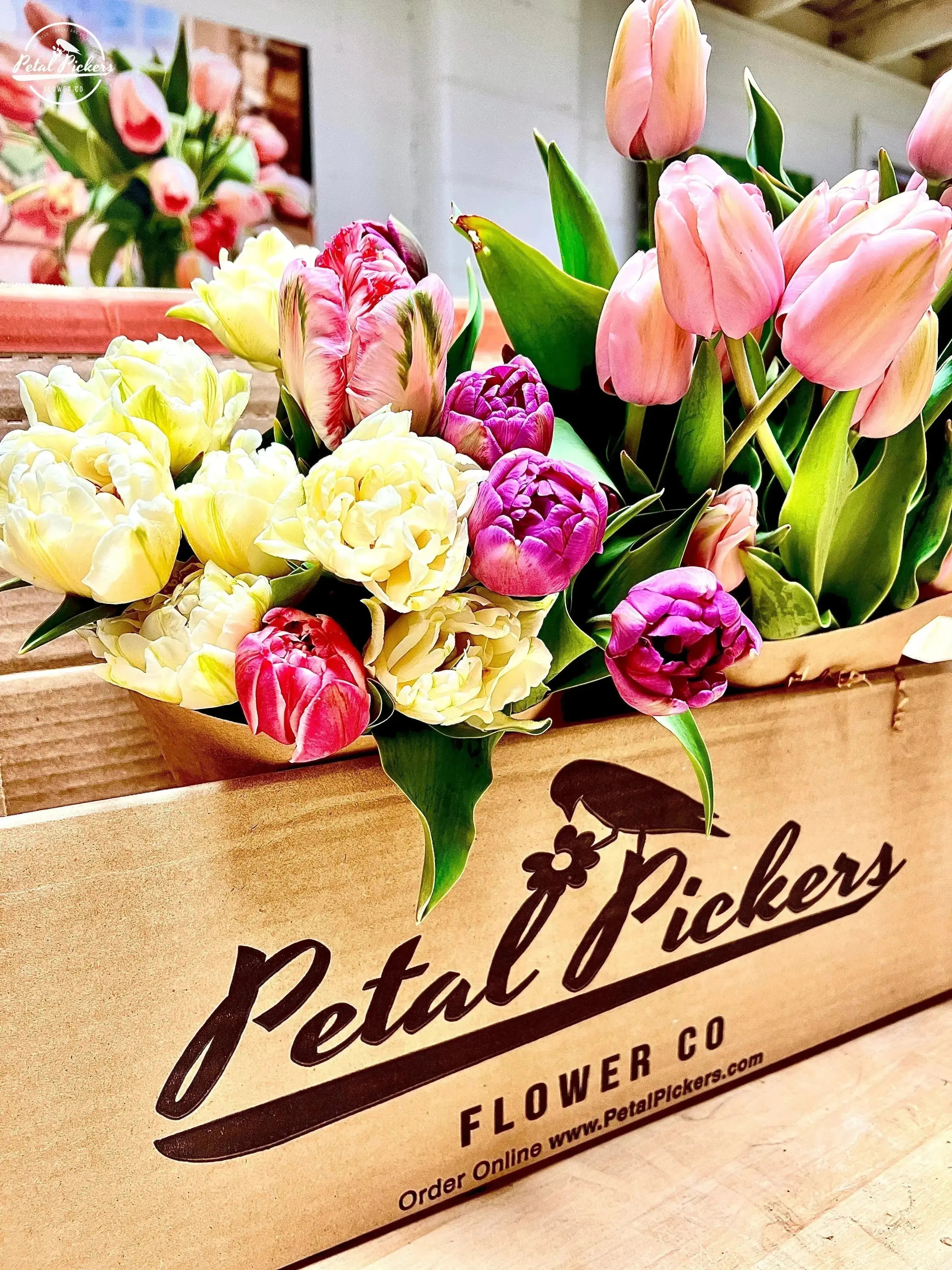 Gift Fresh Flowers 3-Month Spring 2025 Subscription PetalPickers RETAIL