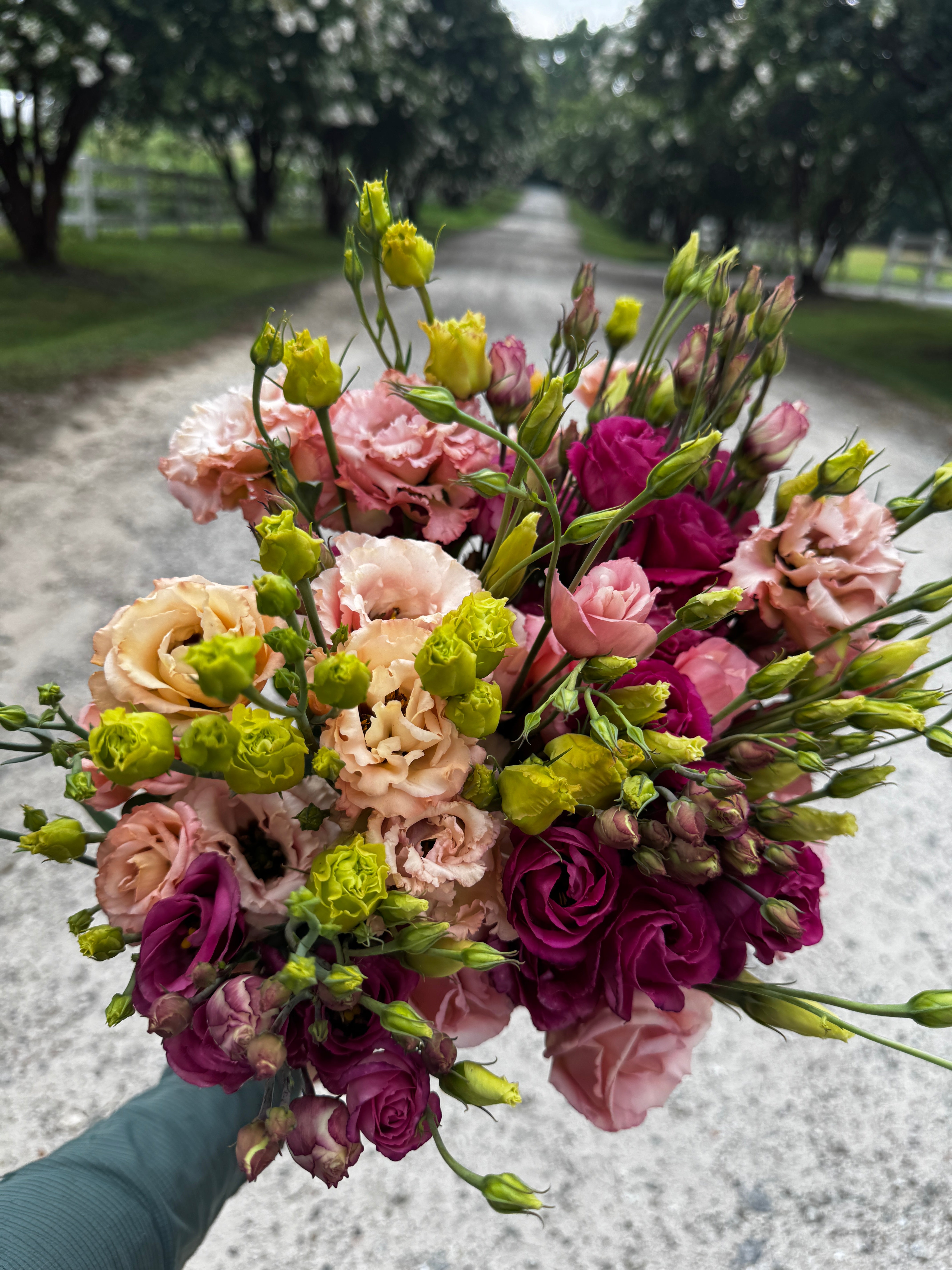 Lisianthus- Farm Fresh Mix