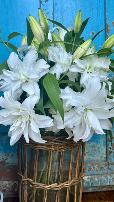 Single Shipment- White Rose Lilies