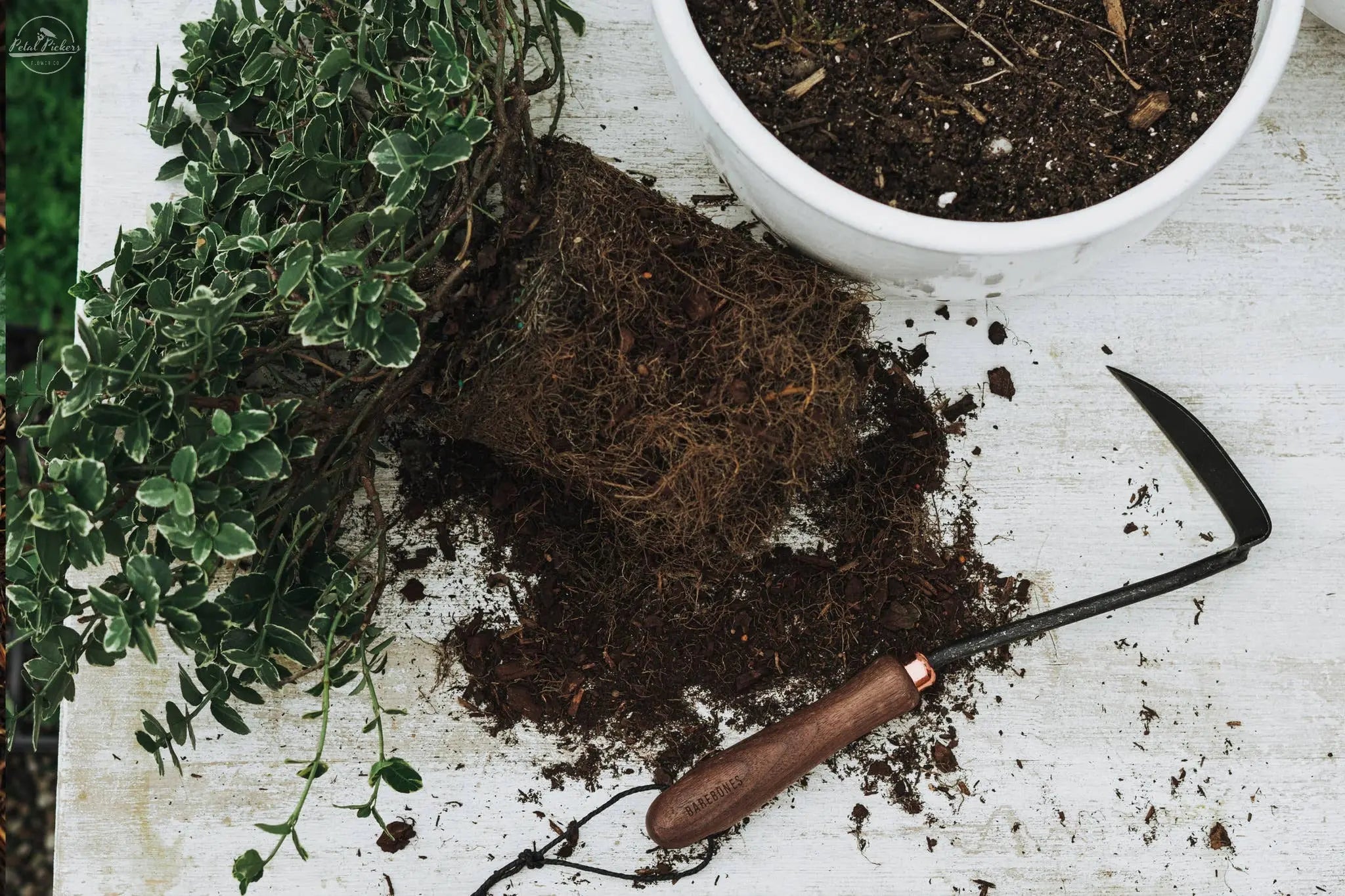 Japanese Weeding Hoe Barebones
