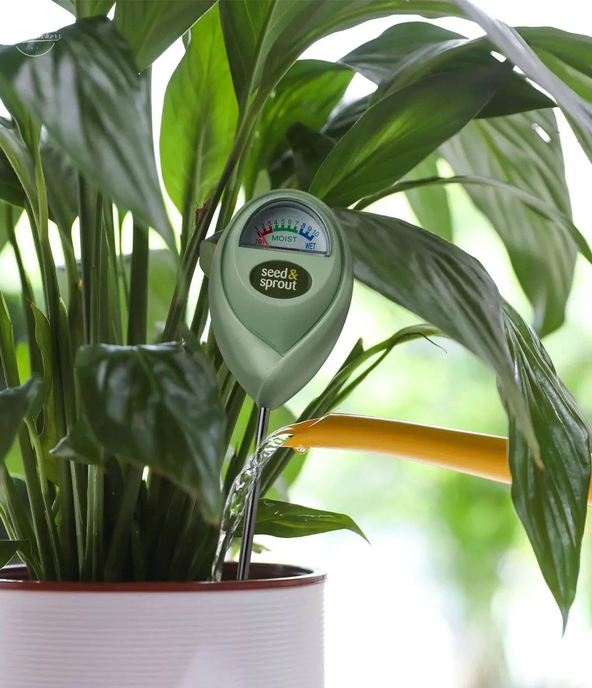Seed & Sprout Potted Plant Moisture Meter DM Merchandising