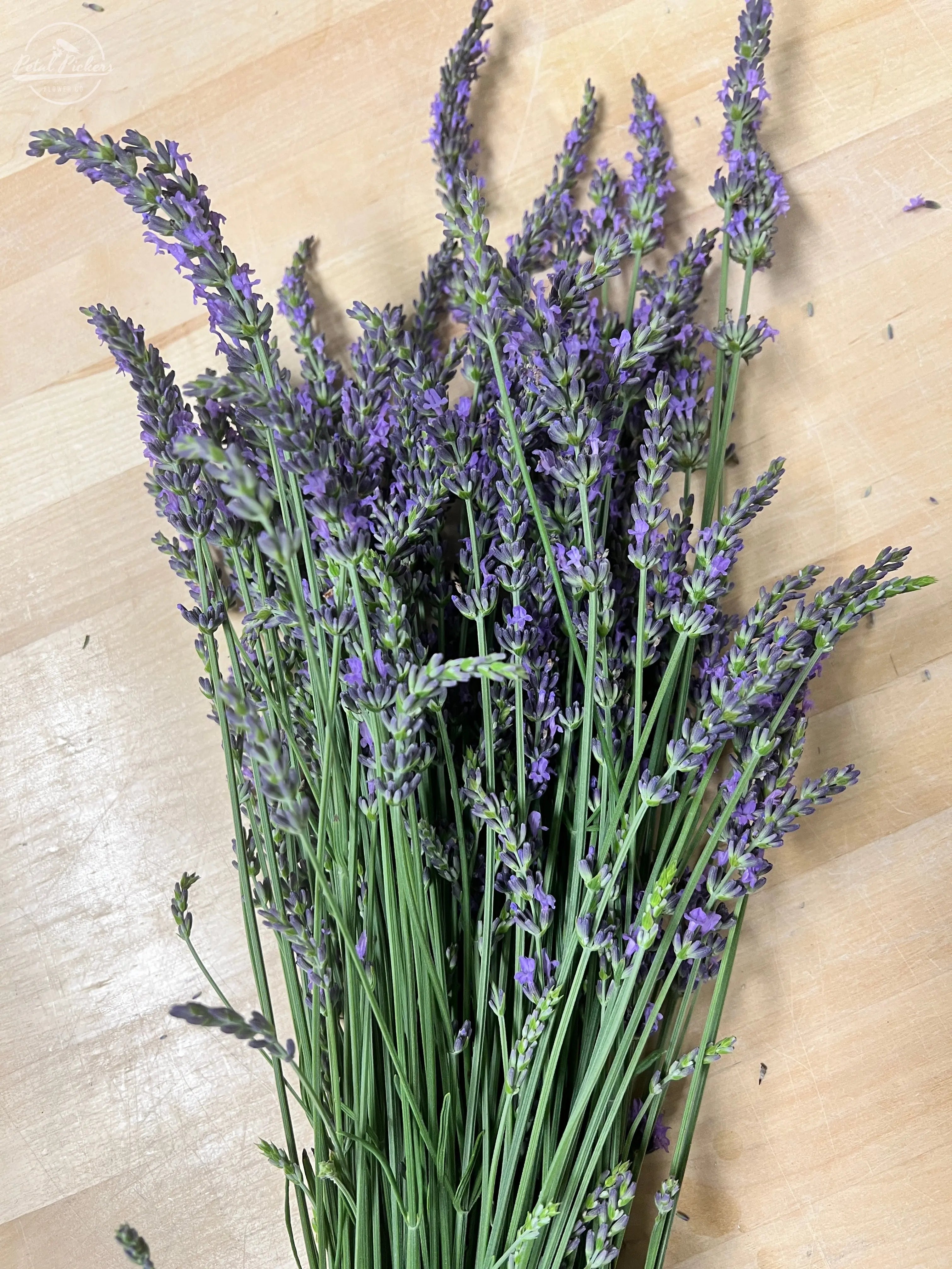 Single Shipment- Box of Lavender PetalPickers RETAIL