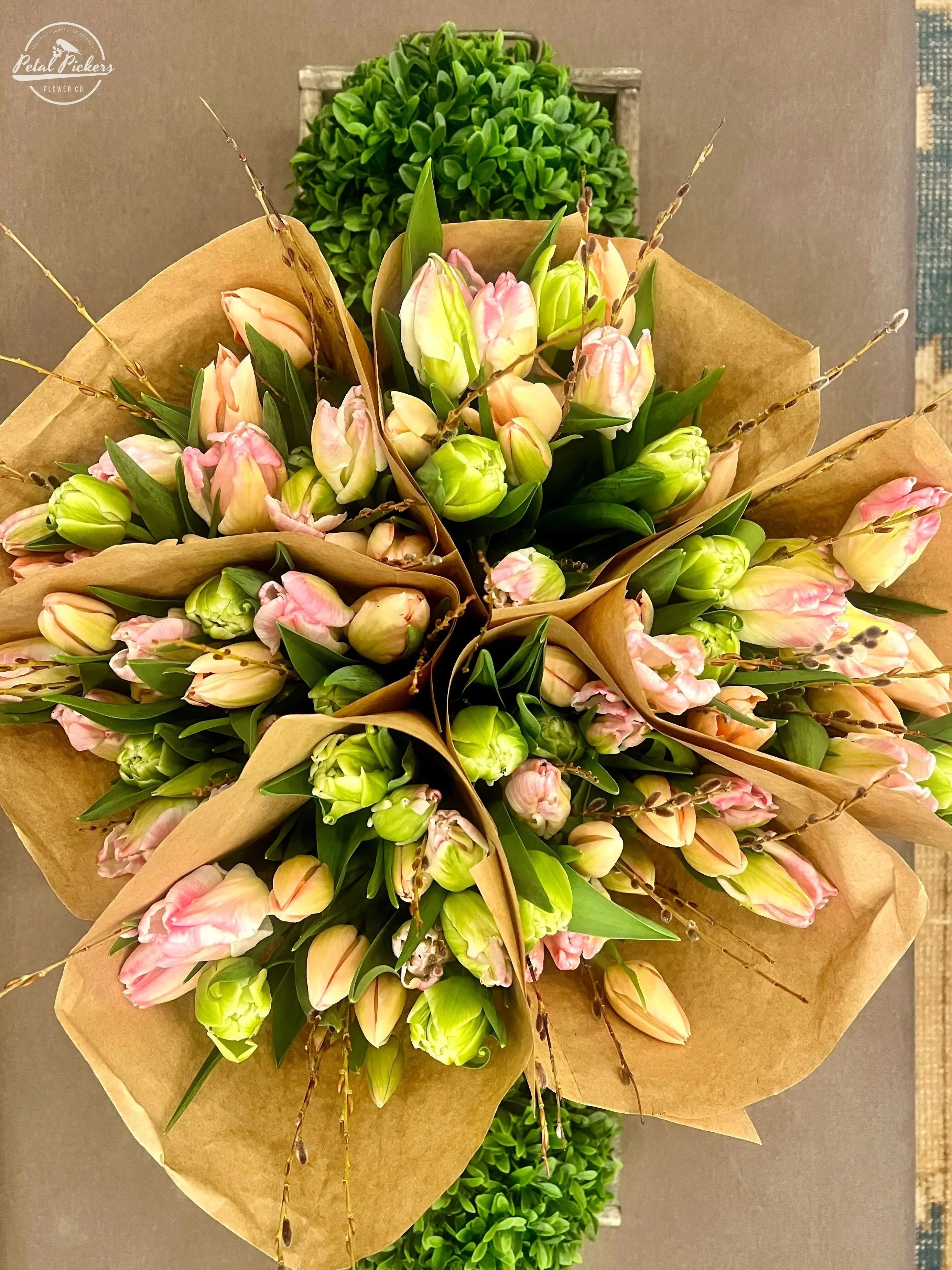 Single Shipment- Specialty Tulips PetalPickers