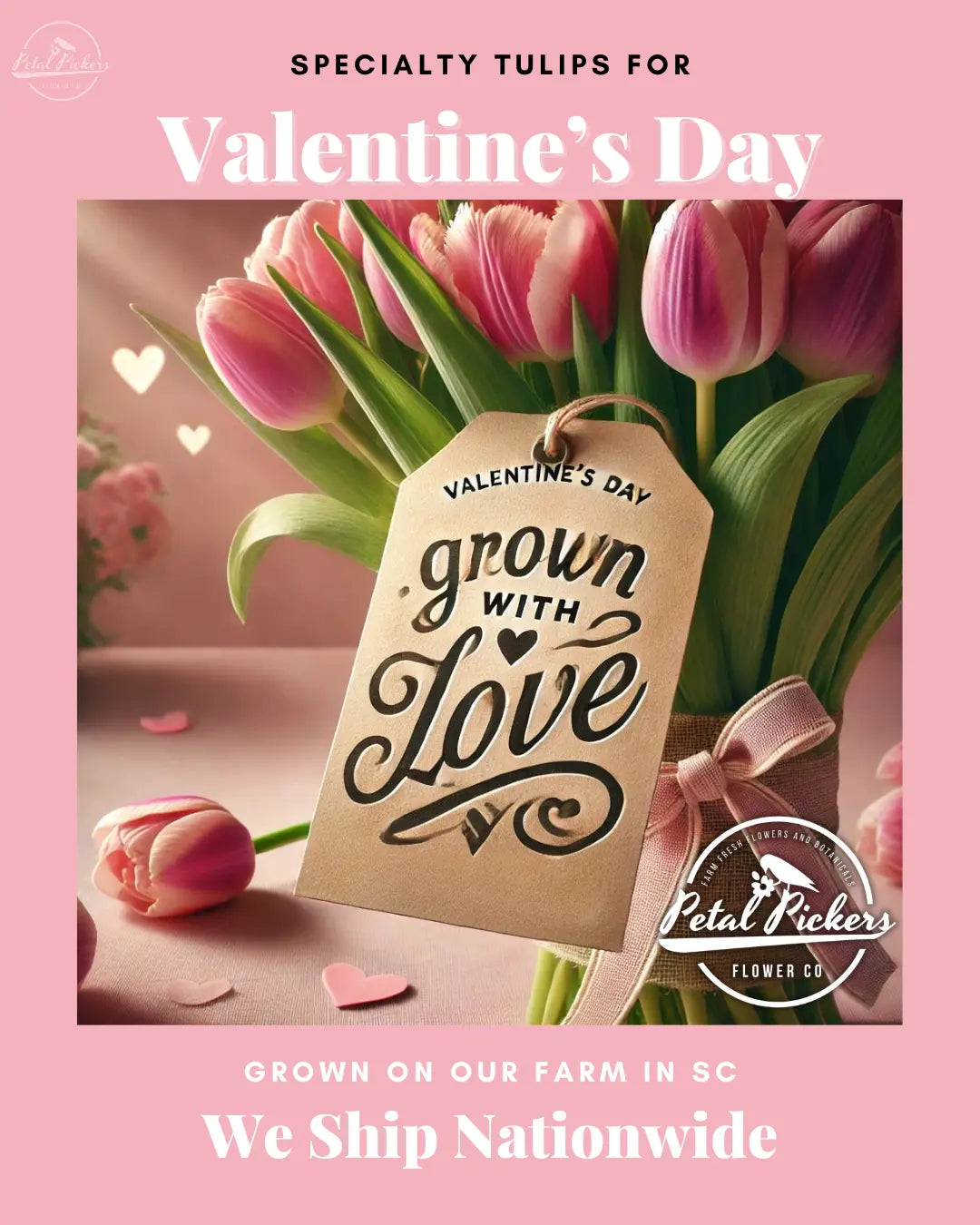 Single Shipment- Valentine's Day Specialty Tulips PetalPickers