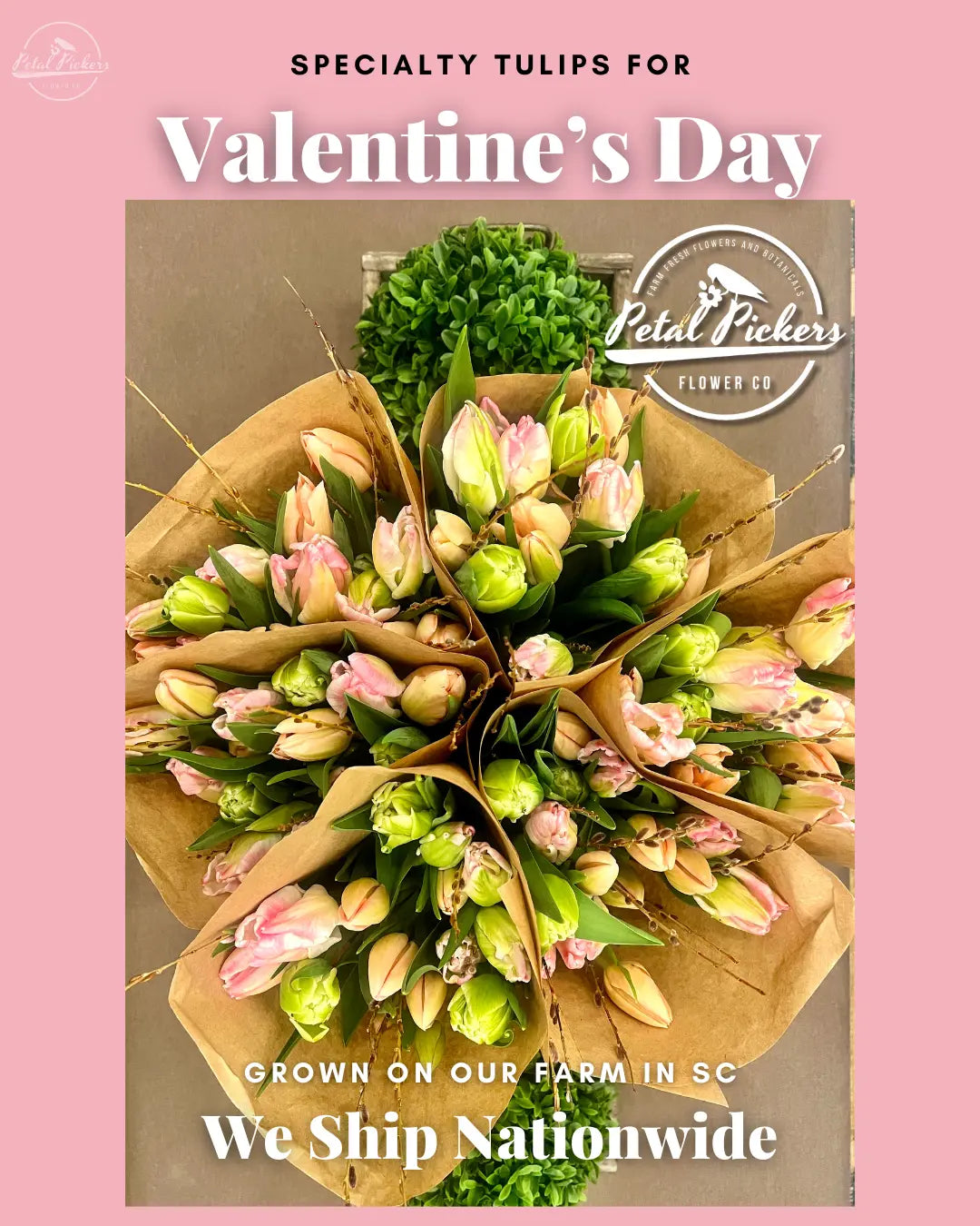 Valentine's Day Bundle (4 Months of Flowers!) PetalPickers RETAIL