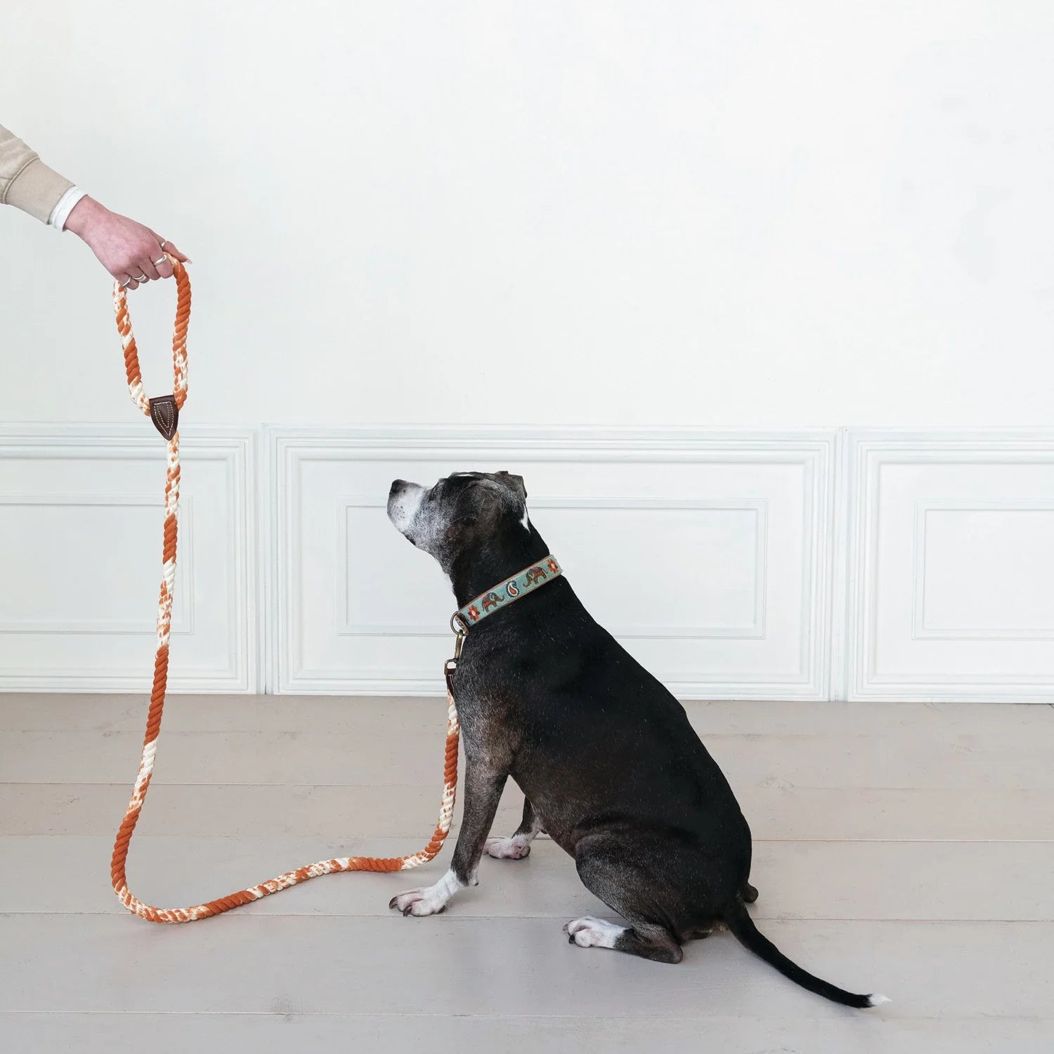 6' Braided Cotton Rope & Leather Tie Dye Leash, 4 Color Options