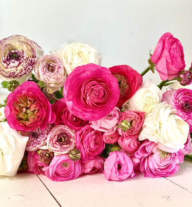 Special Offer- Pretty in Pink Ranunculus